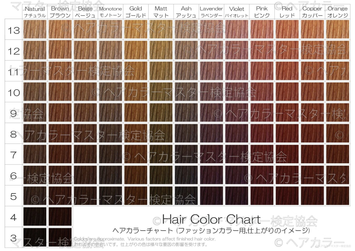 カラーチャート 100枚セット A5 B5 B4 A3 ファッションカラー おしゃれ染め 用ヘアカラー グレイカラー 白髪染め 用ヘアカラー リップカラー 口紅 アイカラー アイシャドウ 染料 ヘアカラーマスター検定協会