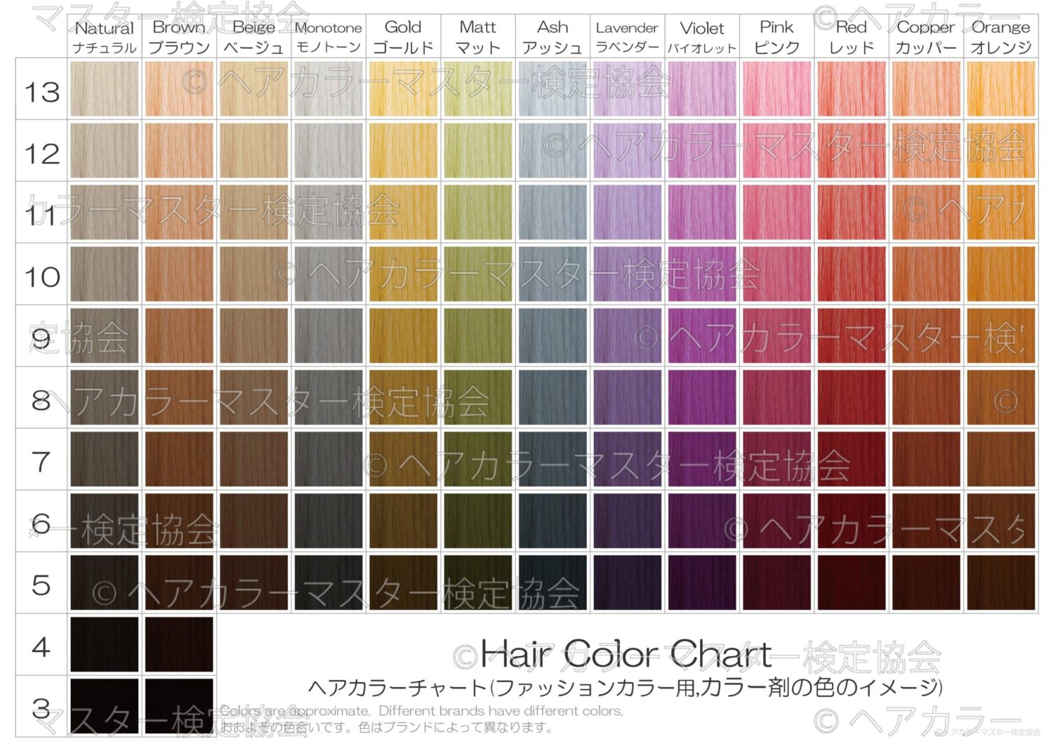 33,333円【Omochi】カラーチャート