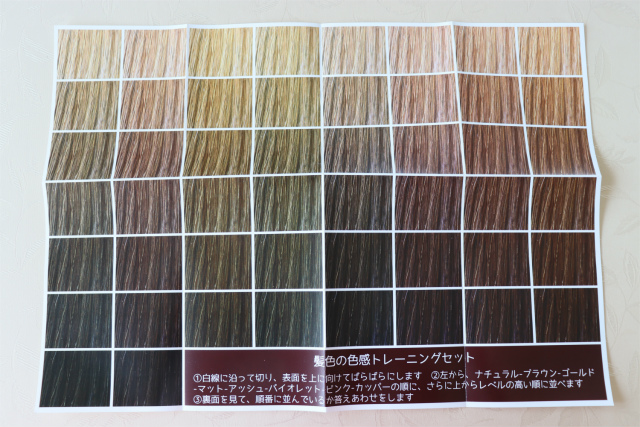 ヘアカラーチャート・髪色色感トレーニングセット A3サイズ | ヘア 